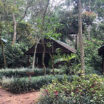 Kibale Forest Camp