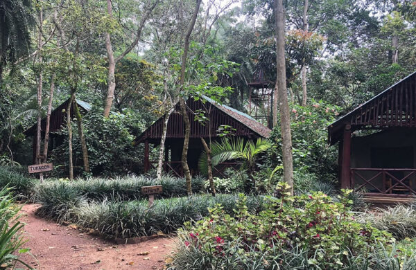 Kibale Forest Camp